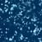 Denim Dazzle