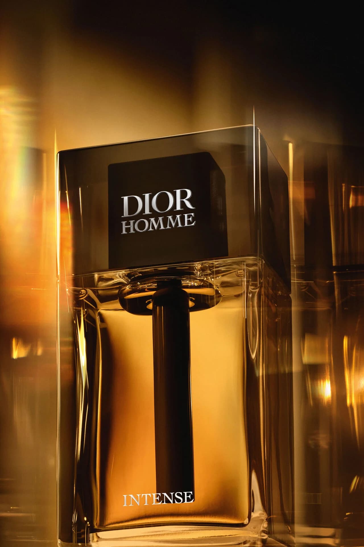 عطر مردانه Dior مدل Homme Intense - تصویر 4