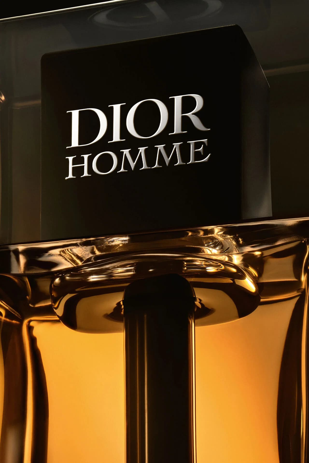 عطر مردانه Dior مدل Homme Intense - تصویر 5
