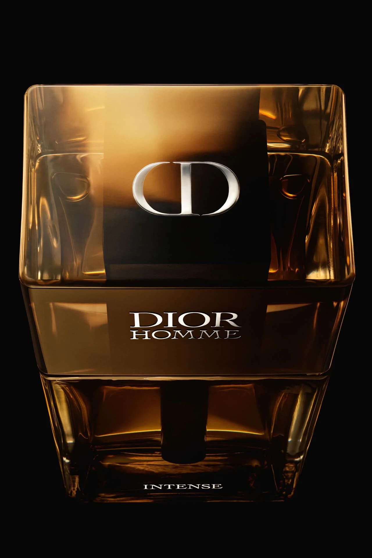 عطر مردانه Dior مدل Homme Intense - تصویر 6