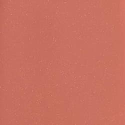 Dusty Rosé - Warm Pink