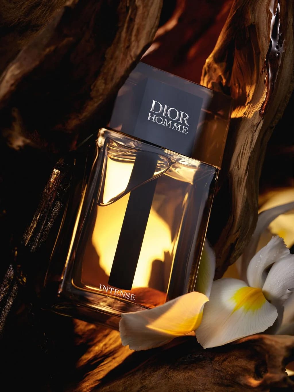 عطر مردانه Dior مدل Homme Intense - تصویر 2